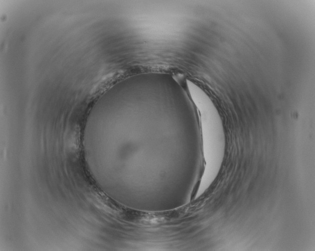 X0000088470760200706121529