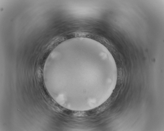 X0000088470761200706121529