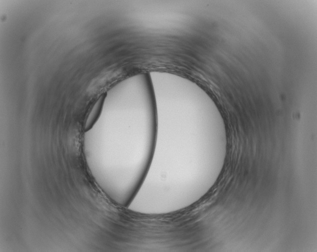 X0000088470762200706121529