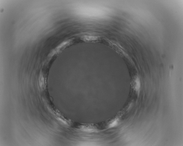 X0000088470763200706121529