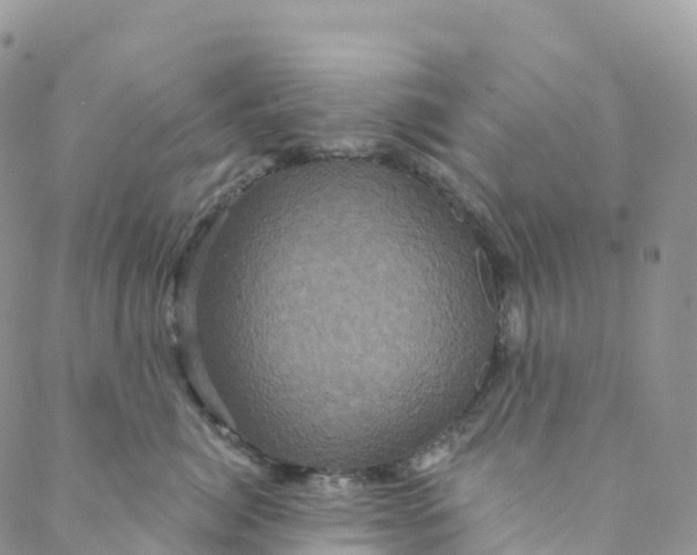 X0000088470764200706121529