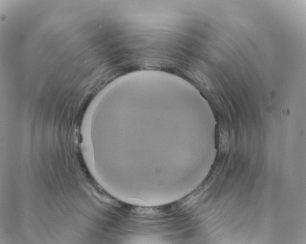 X0000088470766200706121529