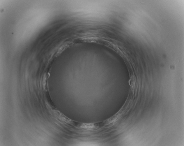 X0000088470767200706121529