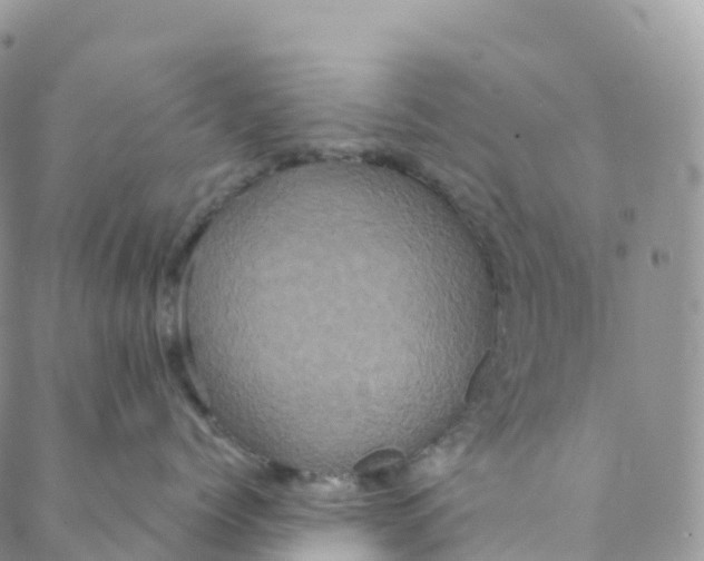 X0000088470768200706121529