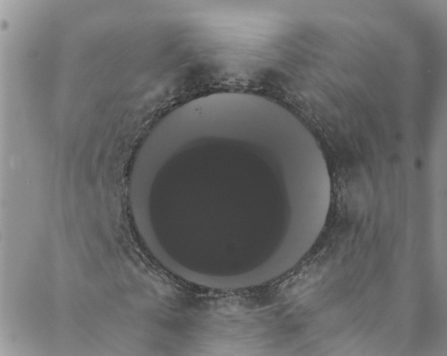 X0000088470769200706121528