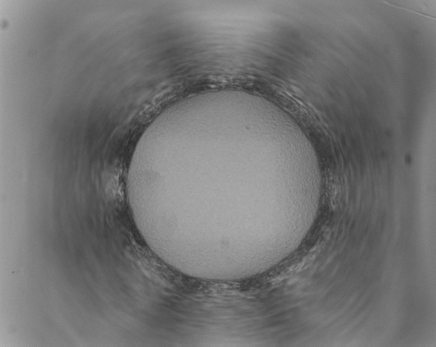 X0000088470770200706121528