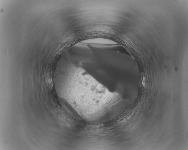 X0000088470771200706121528