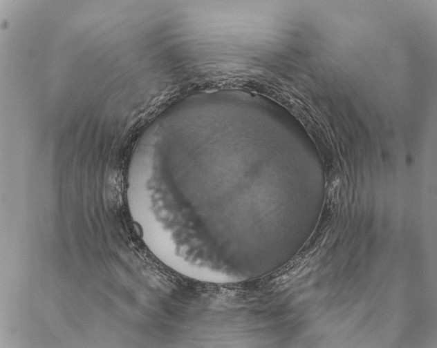 X0000088470772200706121528