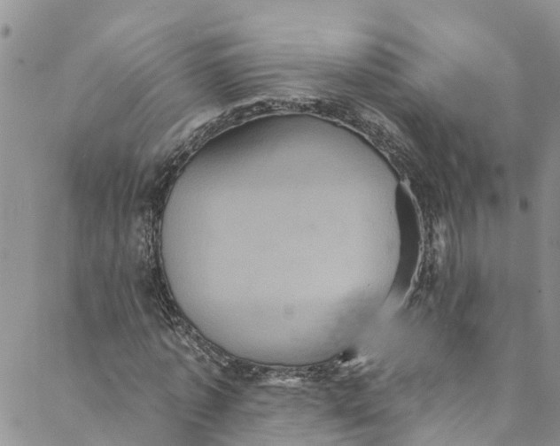 X0000088470773200706121528