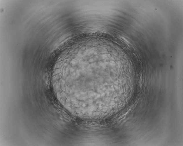 X0000088470774200706121528