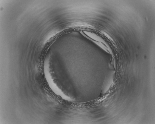 X0000088470775200706121528