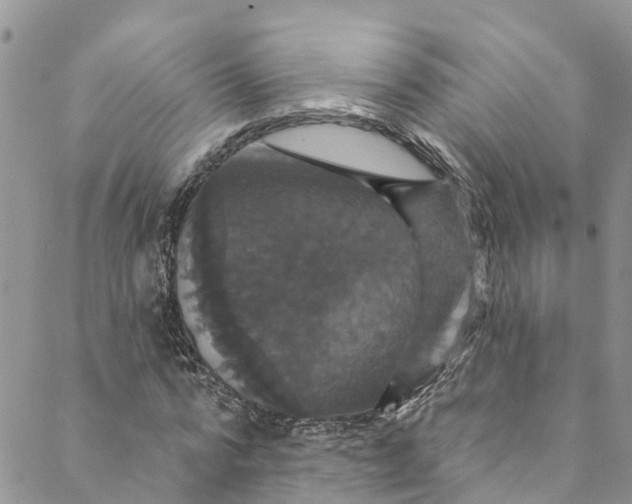 X0000088470776200706121528