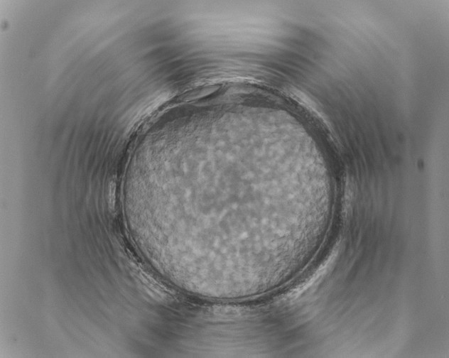 X0000088470777200706121528