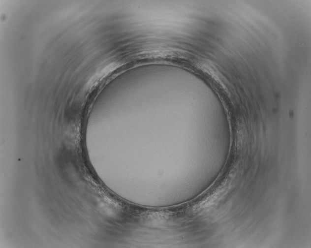 X0000088470778200706121528