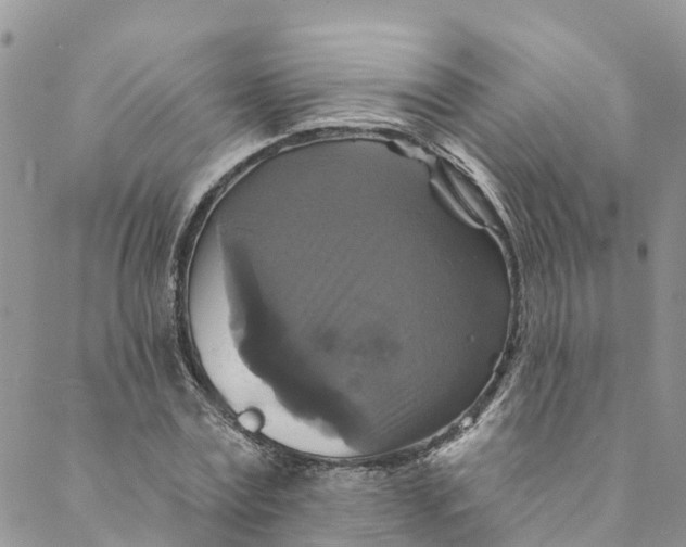 X0000088470779200706121528