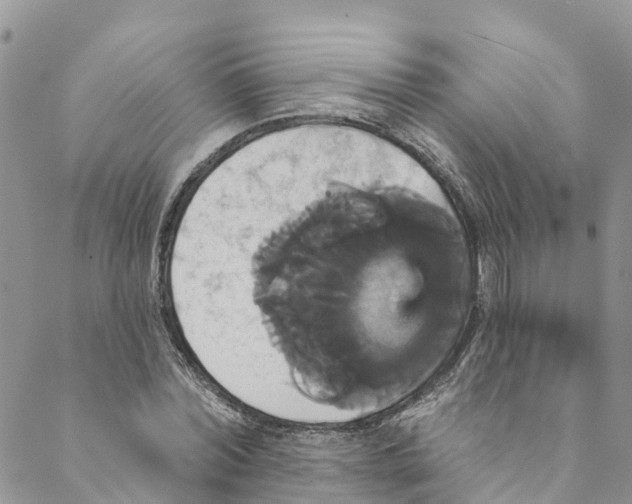 X0000088470780200706121528