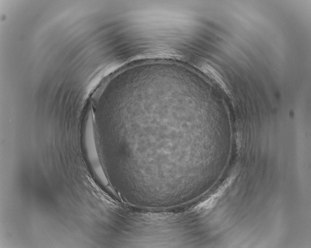 X0000088470781200706121528