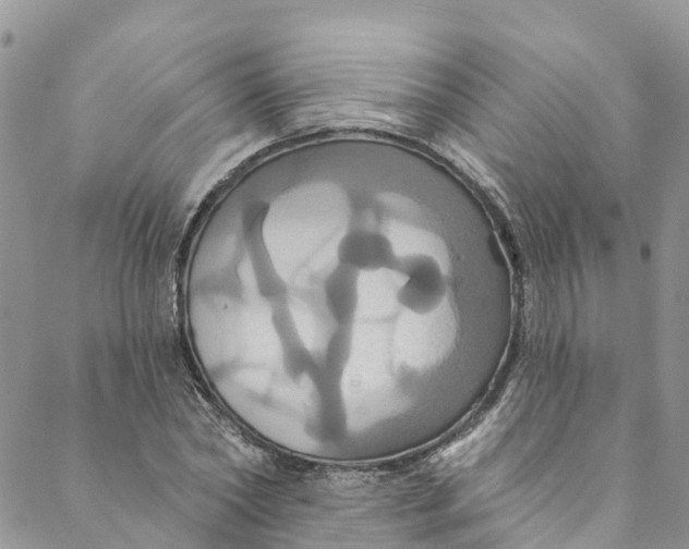 X0000088470782200706121528