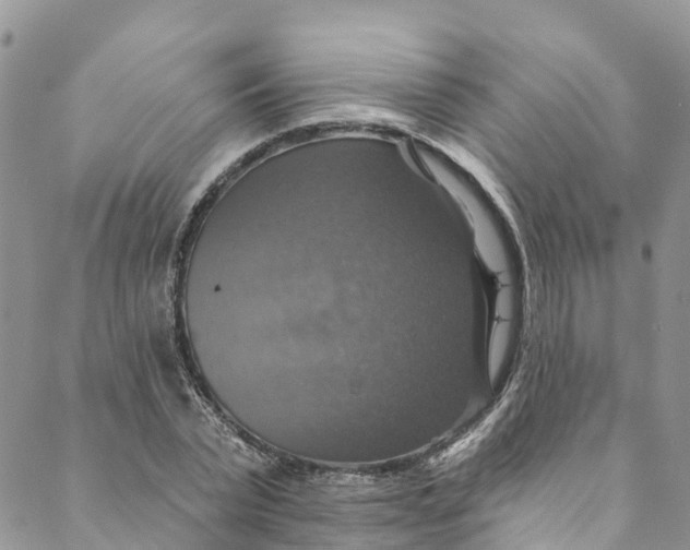 X0000088470783200706121528