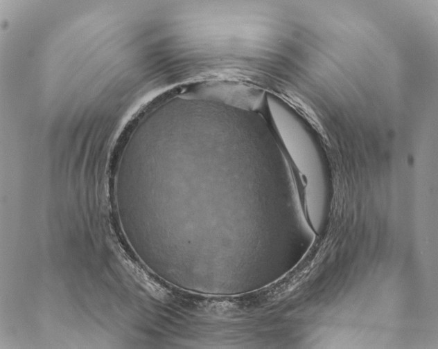 X0000088470784200706121528