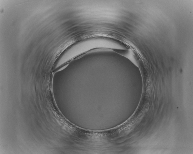 X0000088470785200706121528