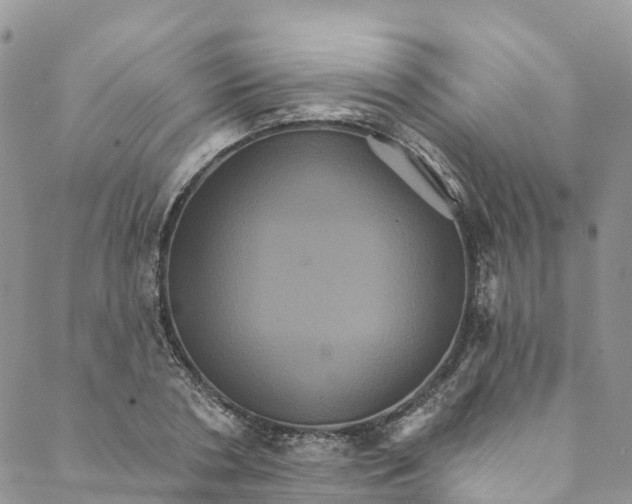 X0000088470786200706121528