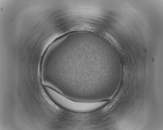 X0000088470788200706121528