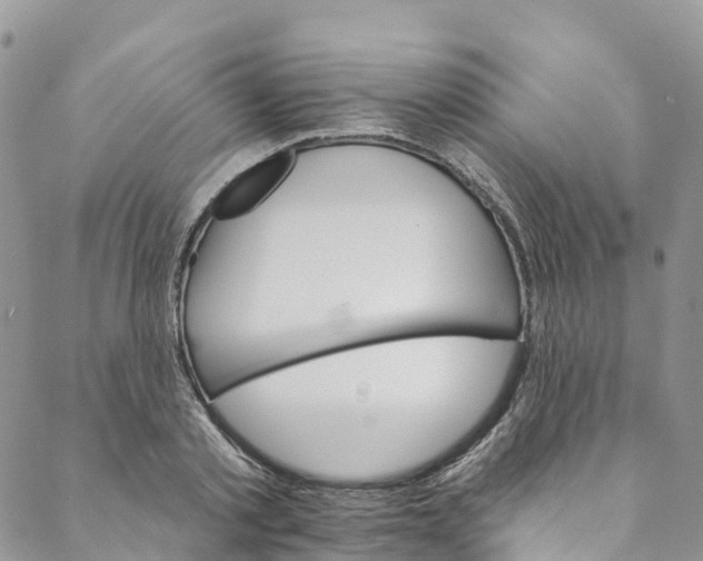 X0000088470789200706121528