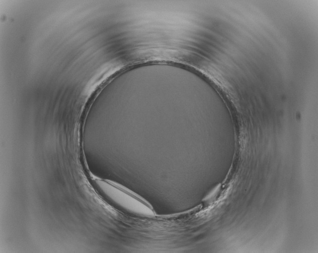 X0000088470790200706121528