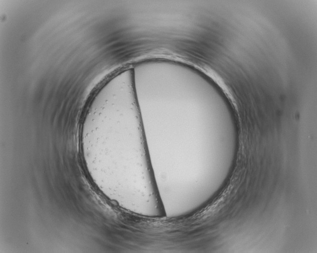 X0000088470791200706121528