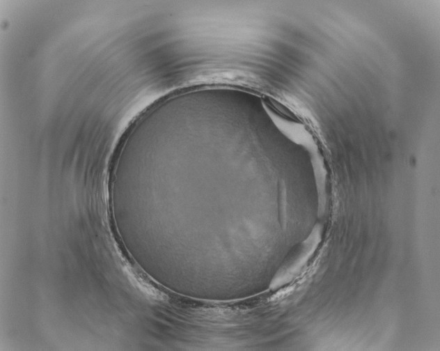 X0000088470792200706121528