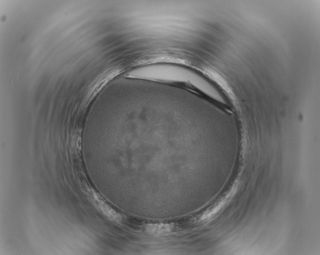 X0000088470793200706121528