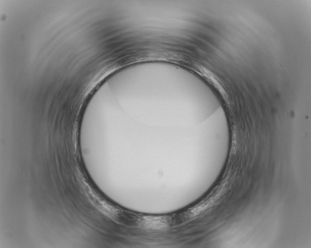 X0000088470794200706121528