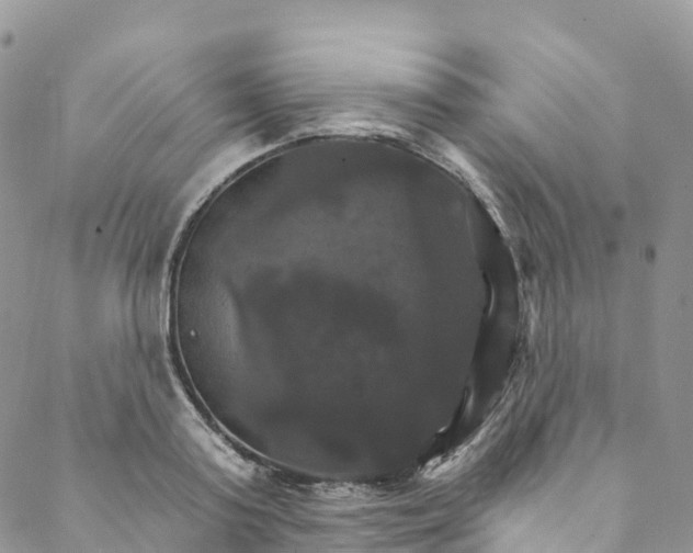 X0000088470795200706121528