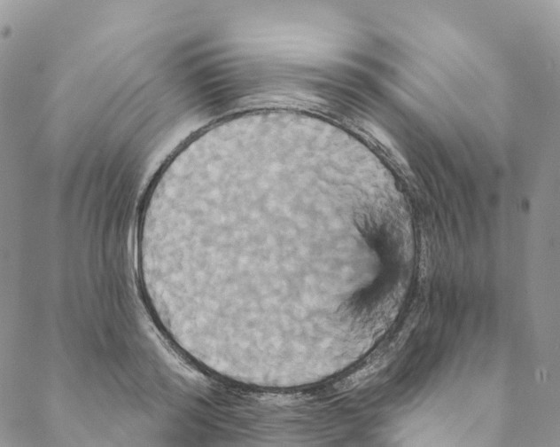 X0000088470796200706121528