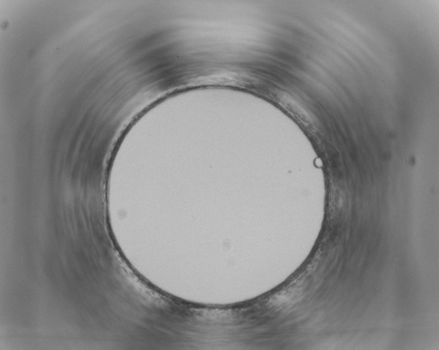 X0000088470800200706121528