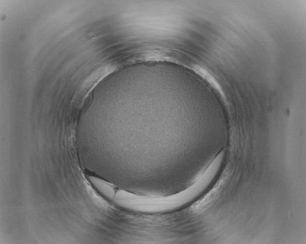 X0000088470801200706121528