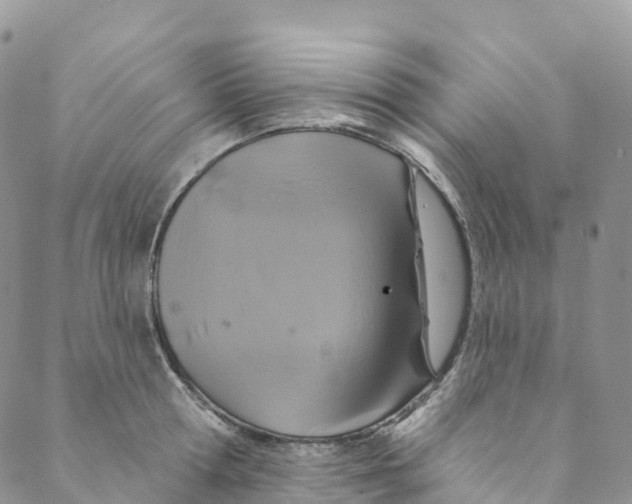 X0000088470802200706121528