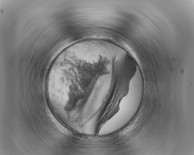 X0000088470803200706121528