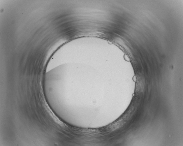 X0000088470804200706121528