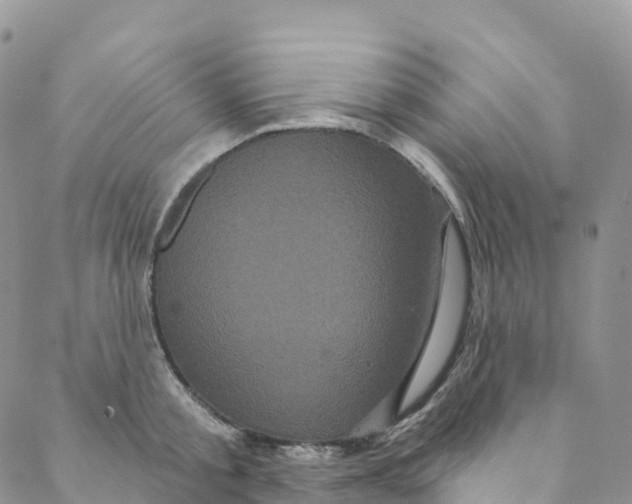 X0000088470805200706121528