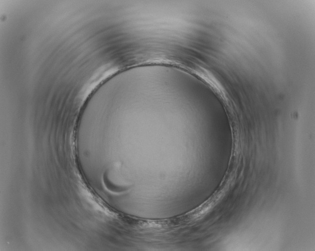 X0000088470806200706121528