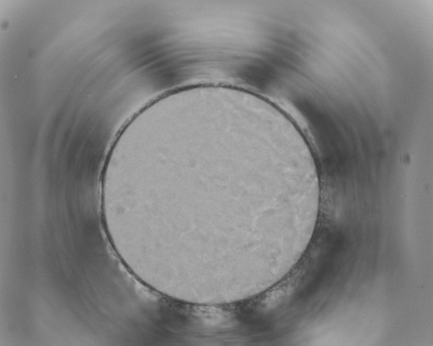 X0000088470807200706121528