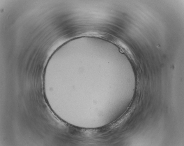 X0000088470808200706121528