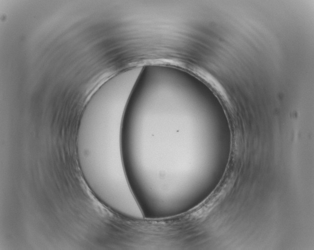 X0000088470809200706121528