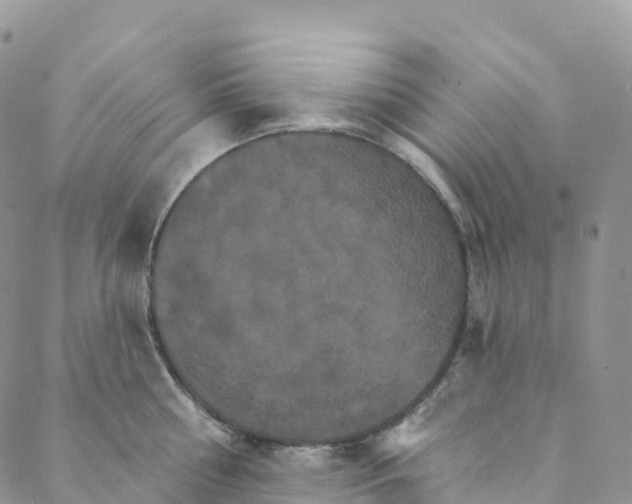 X0000088470810200706121528