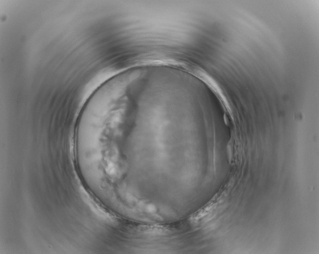 X0000088470811200706121528