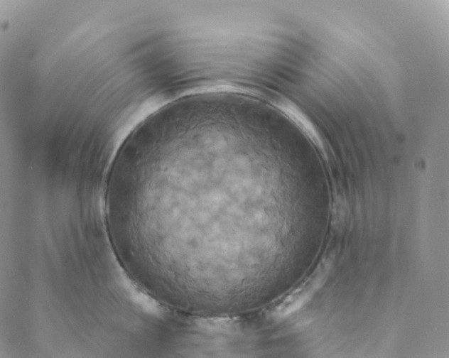 X0000088470813200706121528