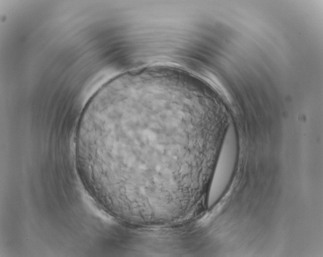 X0000088470814200706121528