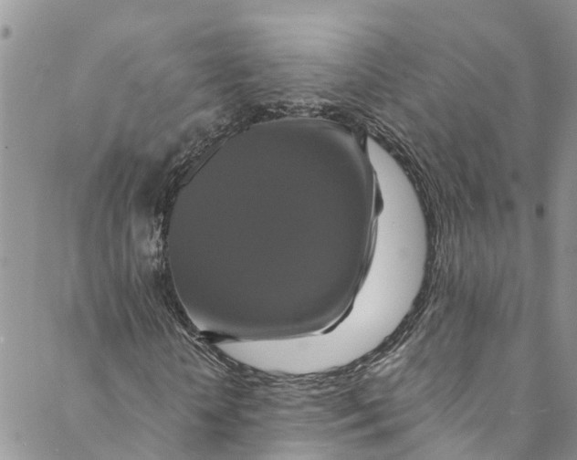 X0000088470818200706121527